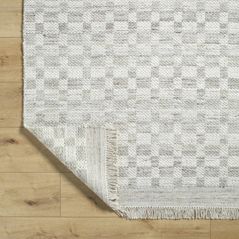 Meira Medium Gray Area Rug - Clearance by Boutique Rugs