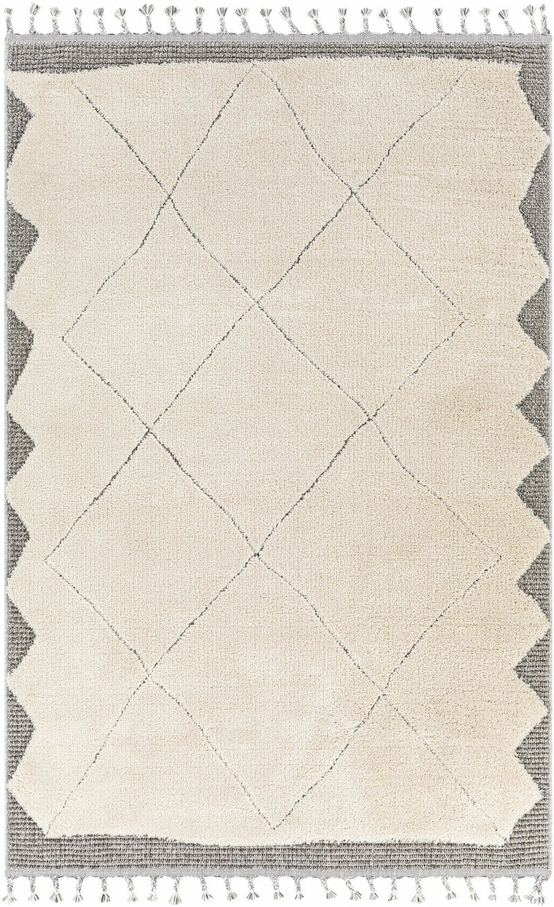 Metzger Area Rug - Clearance by Boutique Rugs