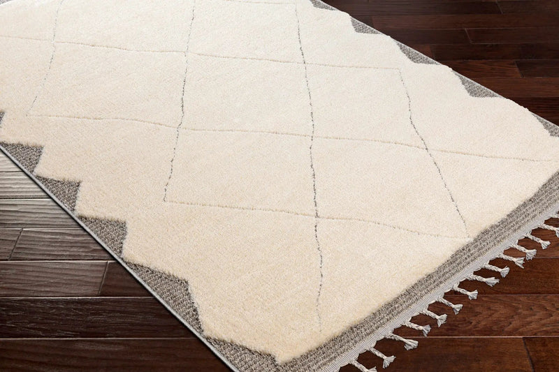 Metzger Area Rug - Clearance by Boutique Rugs