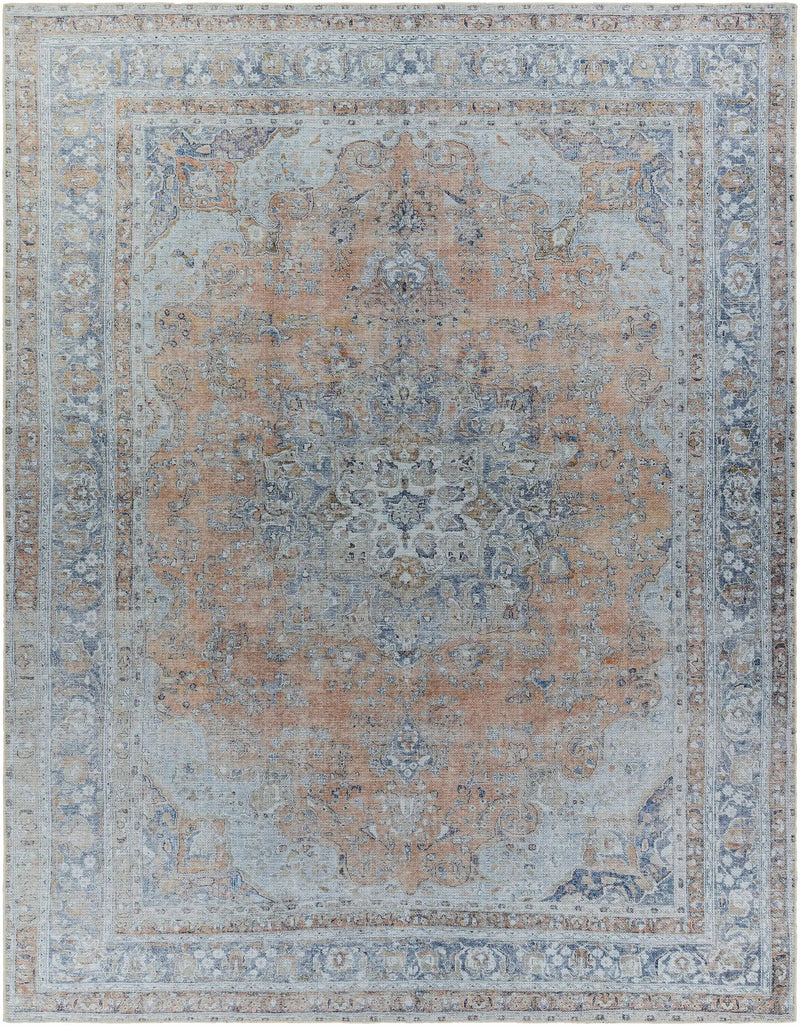 Mianay Washable Area Rug - Clearance by Boutique Rugs