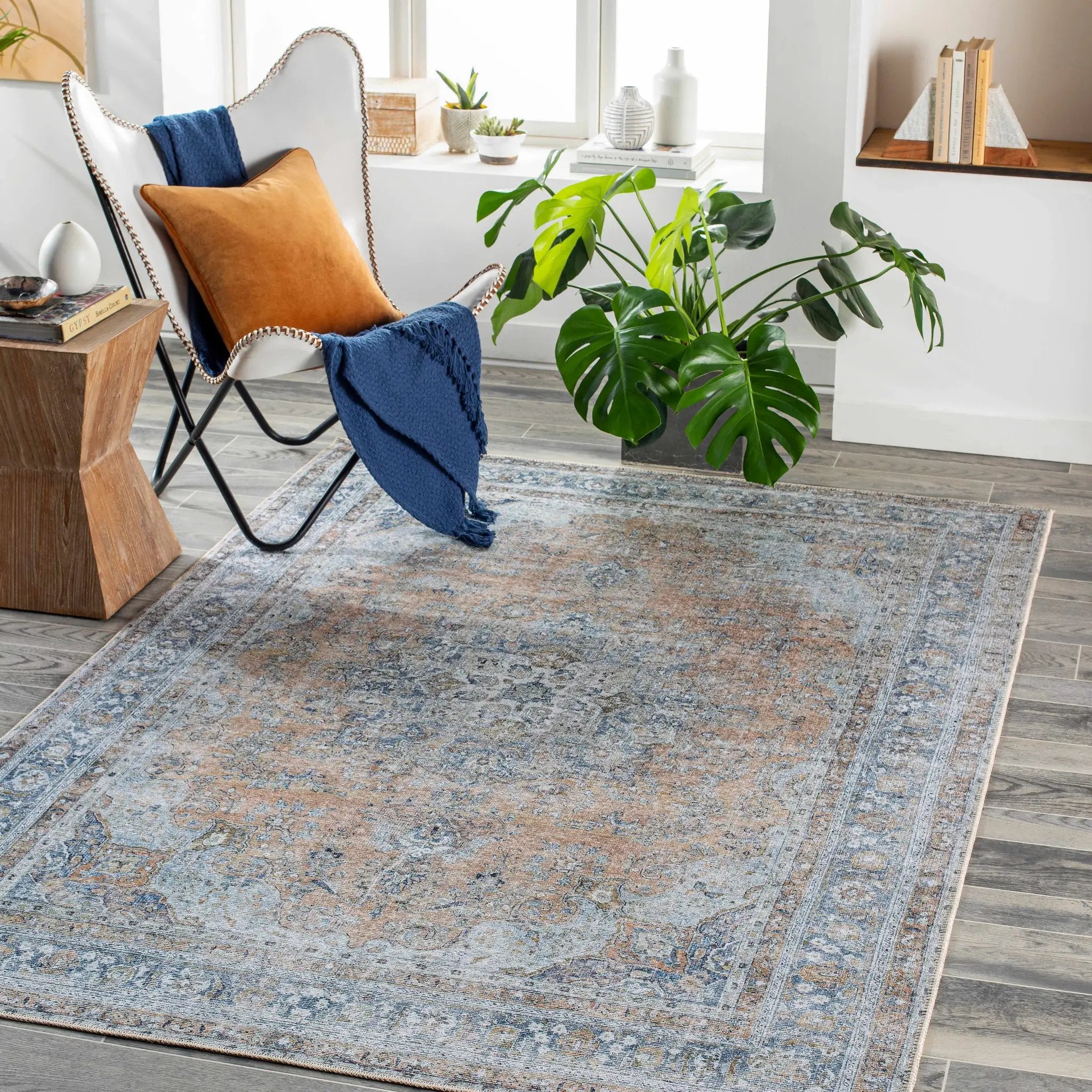 Mianay Washable Area Rug - Clearance by Boutique Rugs