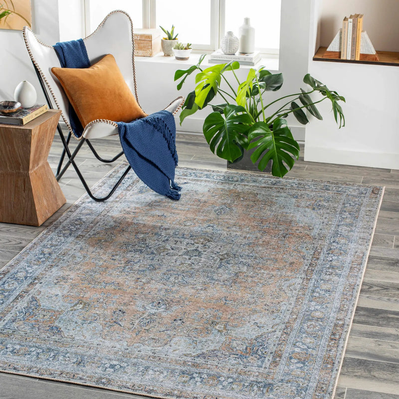Mianay Washable Area Rug - Clearance by Boutique Rugs