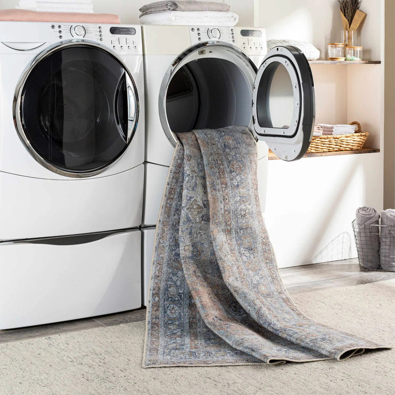 Mianay Washable Area Rug - Clearance by Boutique Rugs