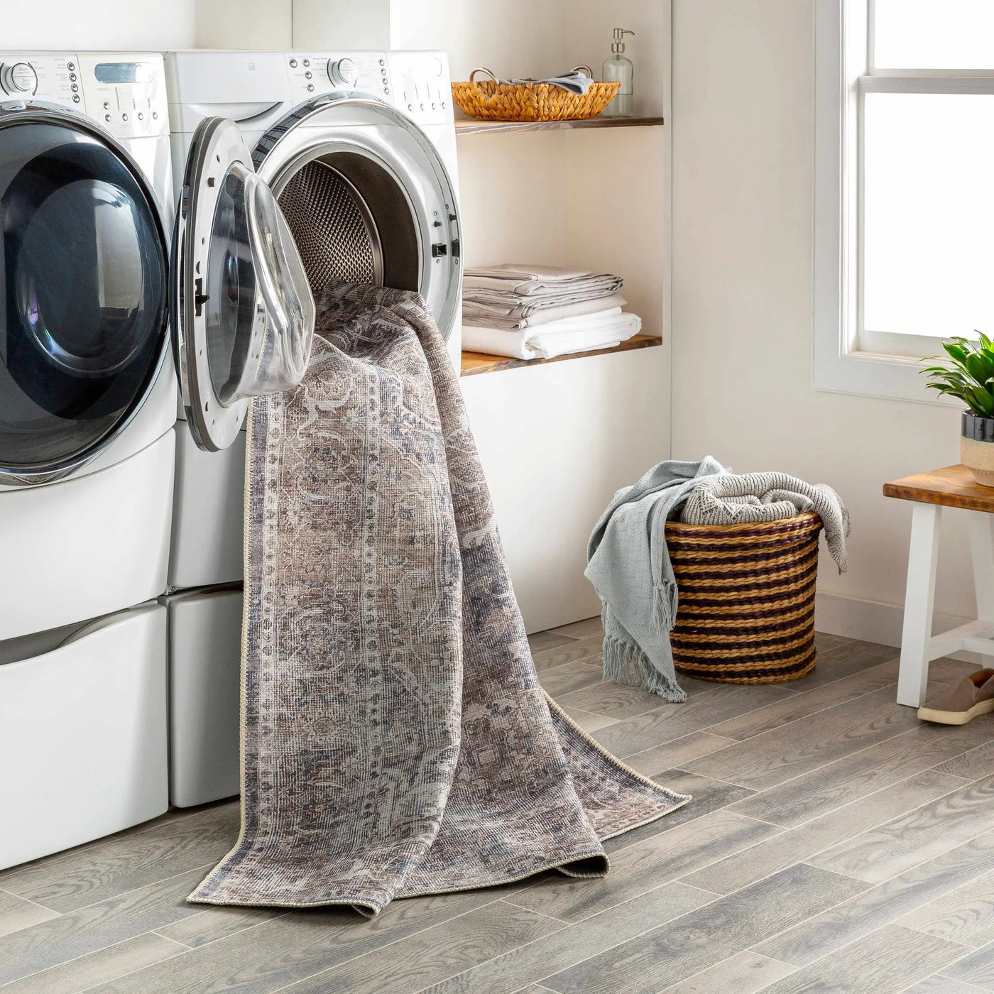 Mignon Washable Area Rug by Boutique Rugs
