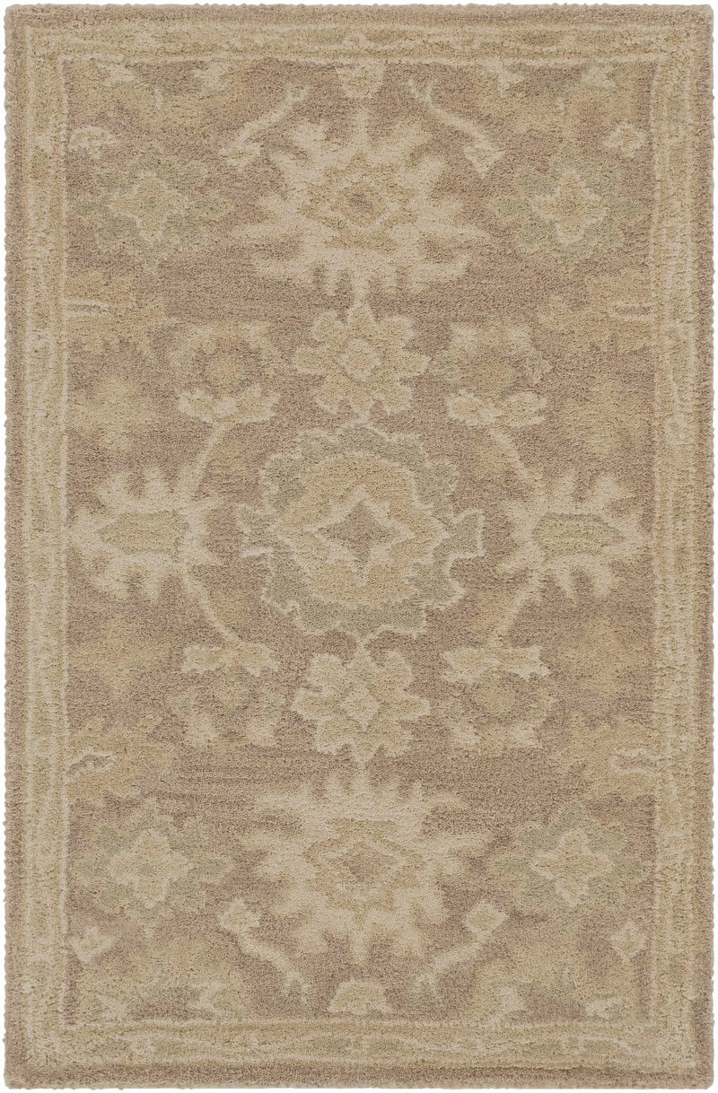 Hazen Hand Tufted Beige 1149 Area Rug by Boutique Rugs