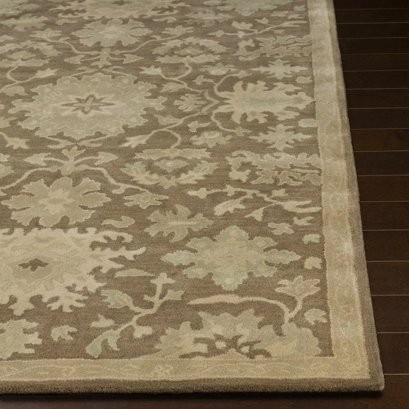 Hazen Hand Tufted Beige 1149 Area Rug by Boutique Rugs