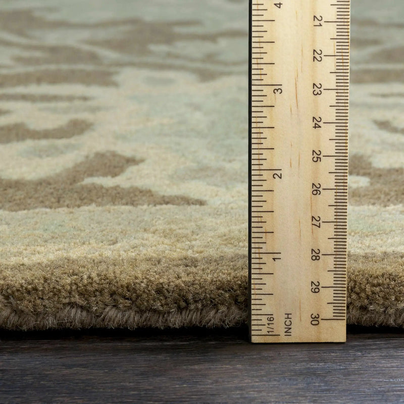 Hazen Hand Tufted Beige 1149 Area Rug by Boutique Rugs