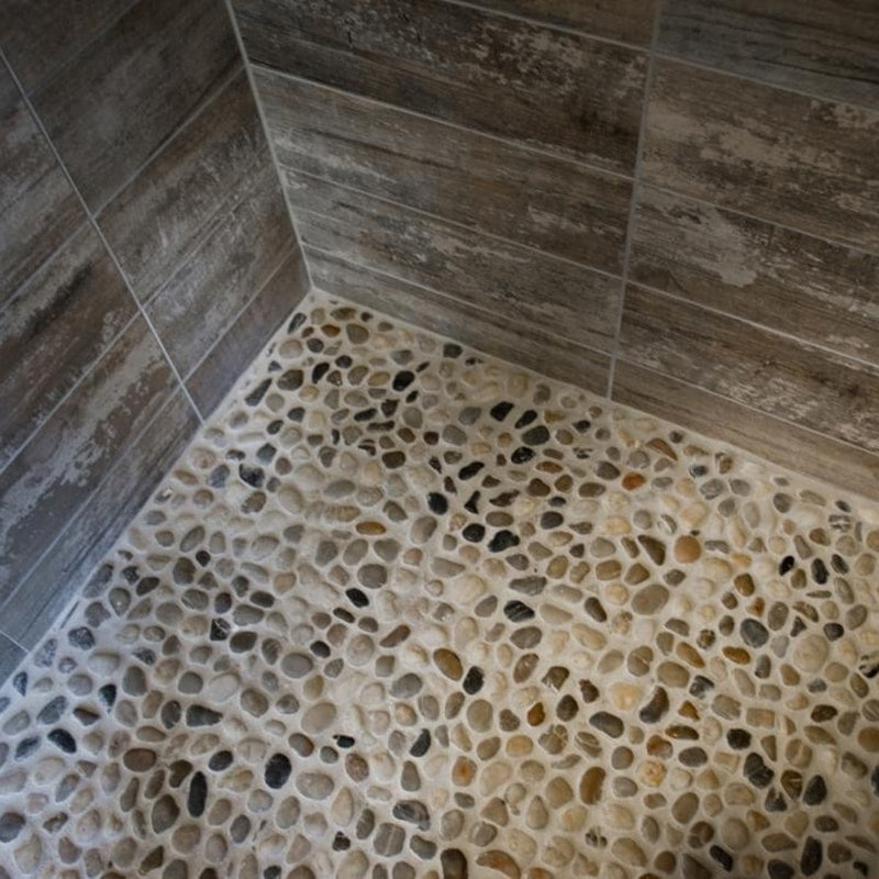 Mixed Salad Polished Pebble Mosaics 12x12 Pebble Polished 12x12 Mosaics — 5