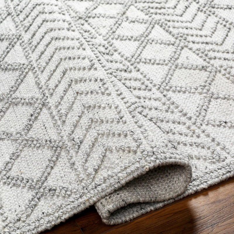 Meng Area Rug - Clearance by Boutique Rugs