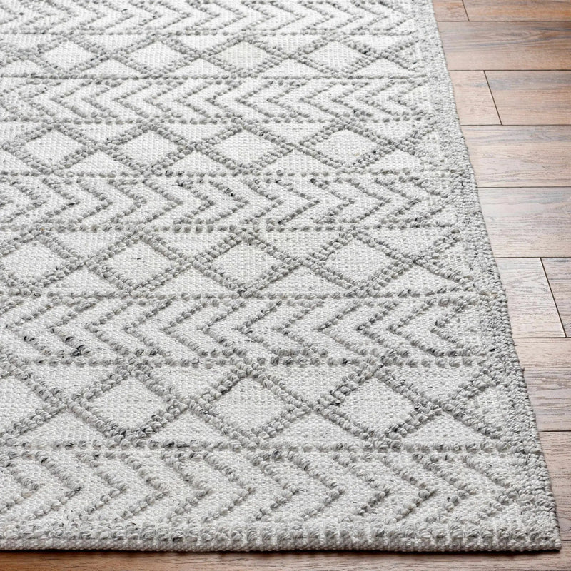 Meng Area Rug - Clearance by Boutique Rugs