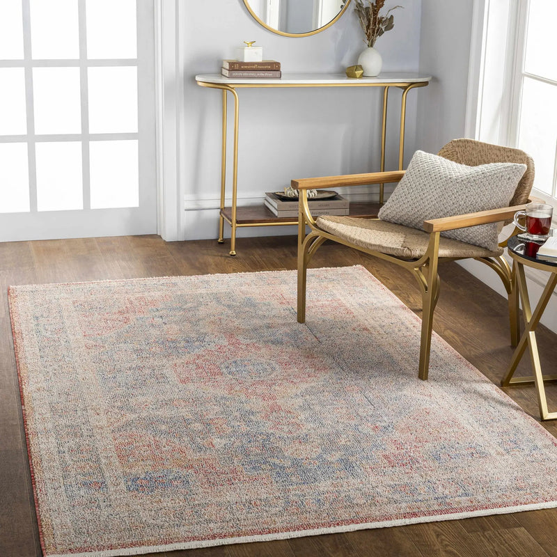 Akio Red & Blue Area Rug - Clearance by Boutique Rugs
