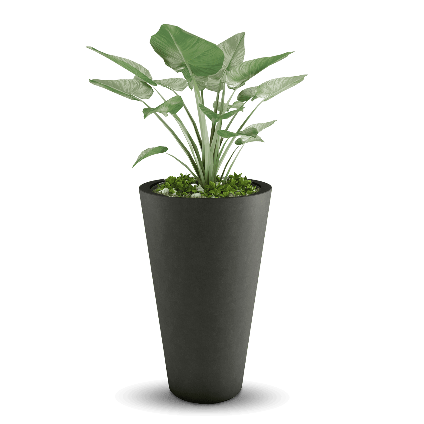 Cone Outdoor Planter by ModaConcrete - Direct source for architectural and precast concrete