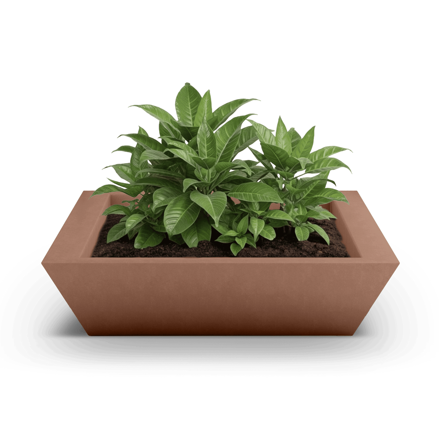 Newport Outdoor Shallow Planter by ModaConcrete - Direct source for architectural and precast concrete