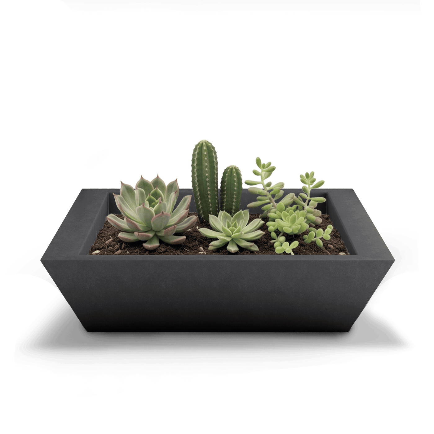 Newport Outdoor Shallow Planter by ModaConcrete - Direct source for architectural and precast concrete
