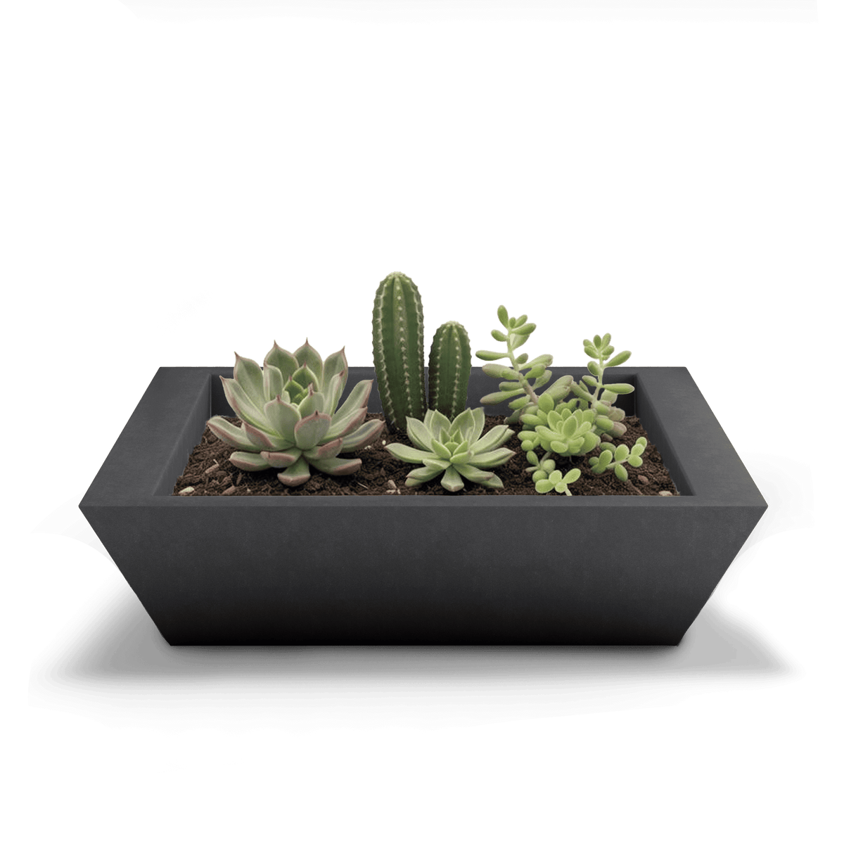 Newport Outdoor Shallow Planter, photo 36 of 41