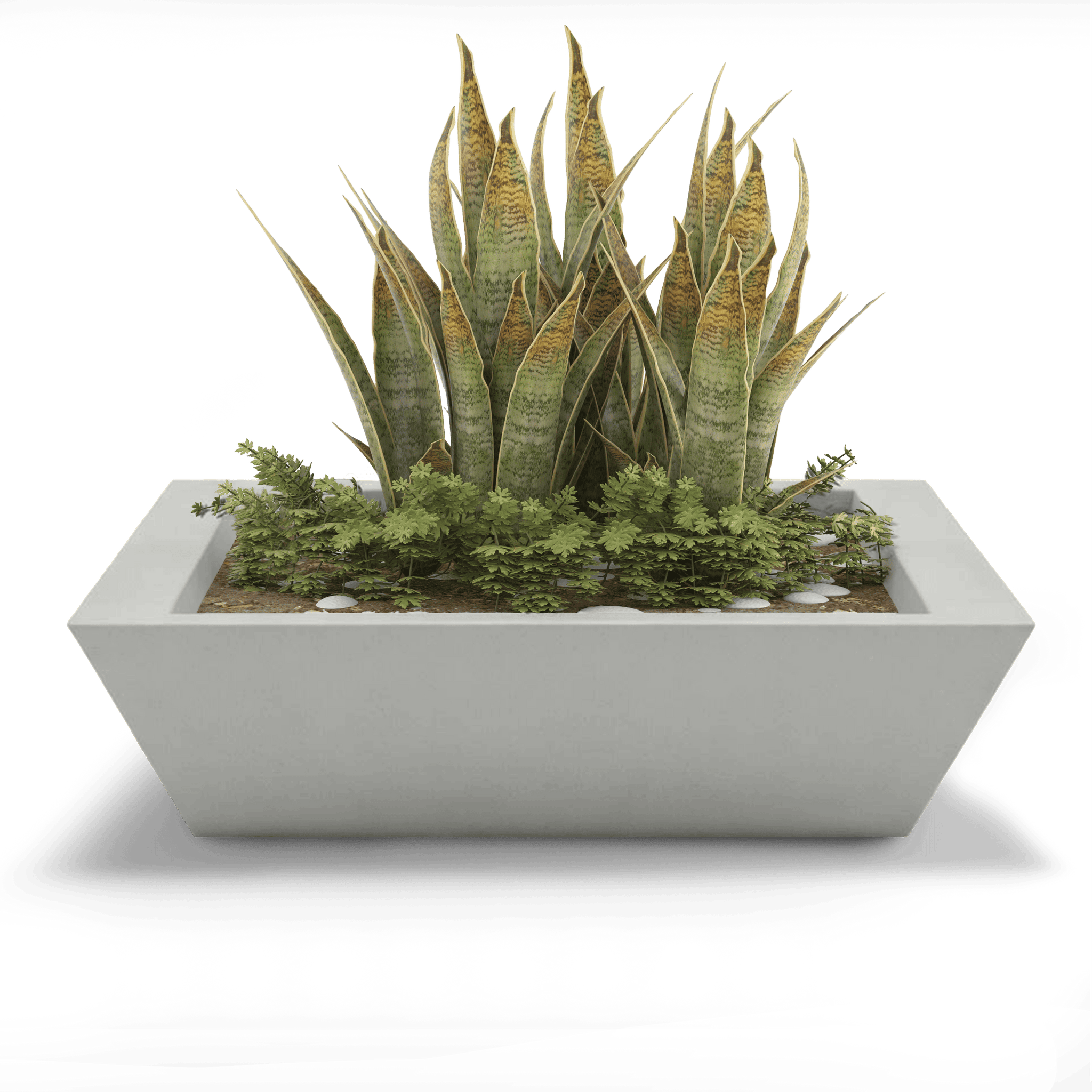 Newport Outdoor Shallow Planter by ModaConcrete - Direct source for architectural and precast concrete