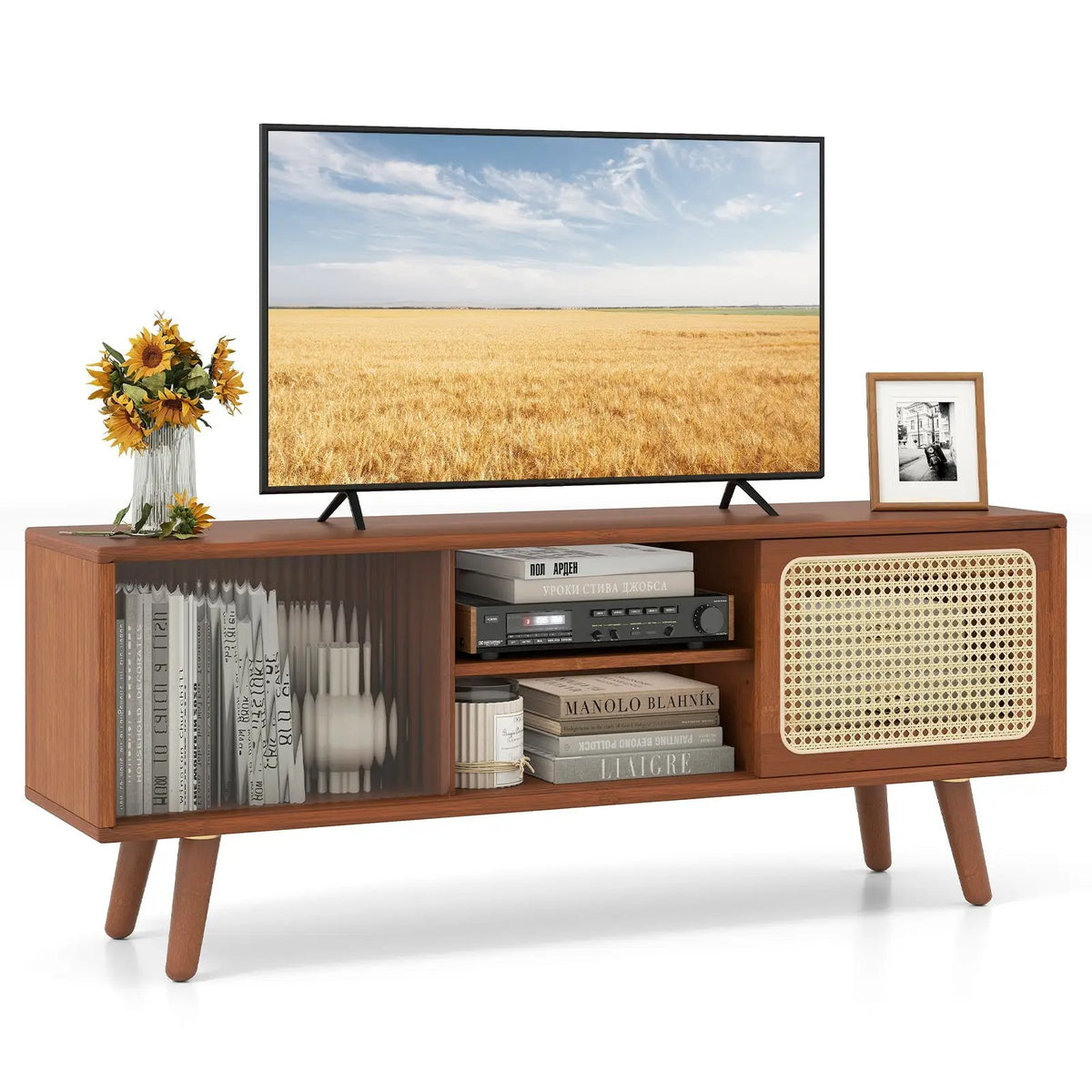 Modern TV Stand with Rattan Glass Sliding Doors by DirectDeals