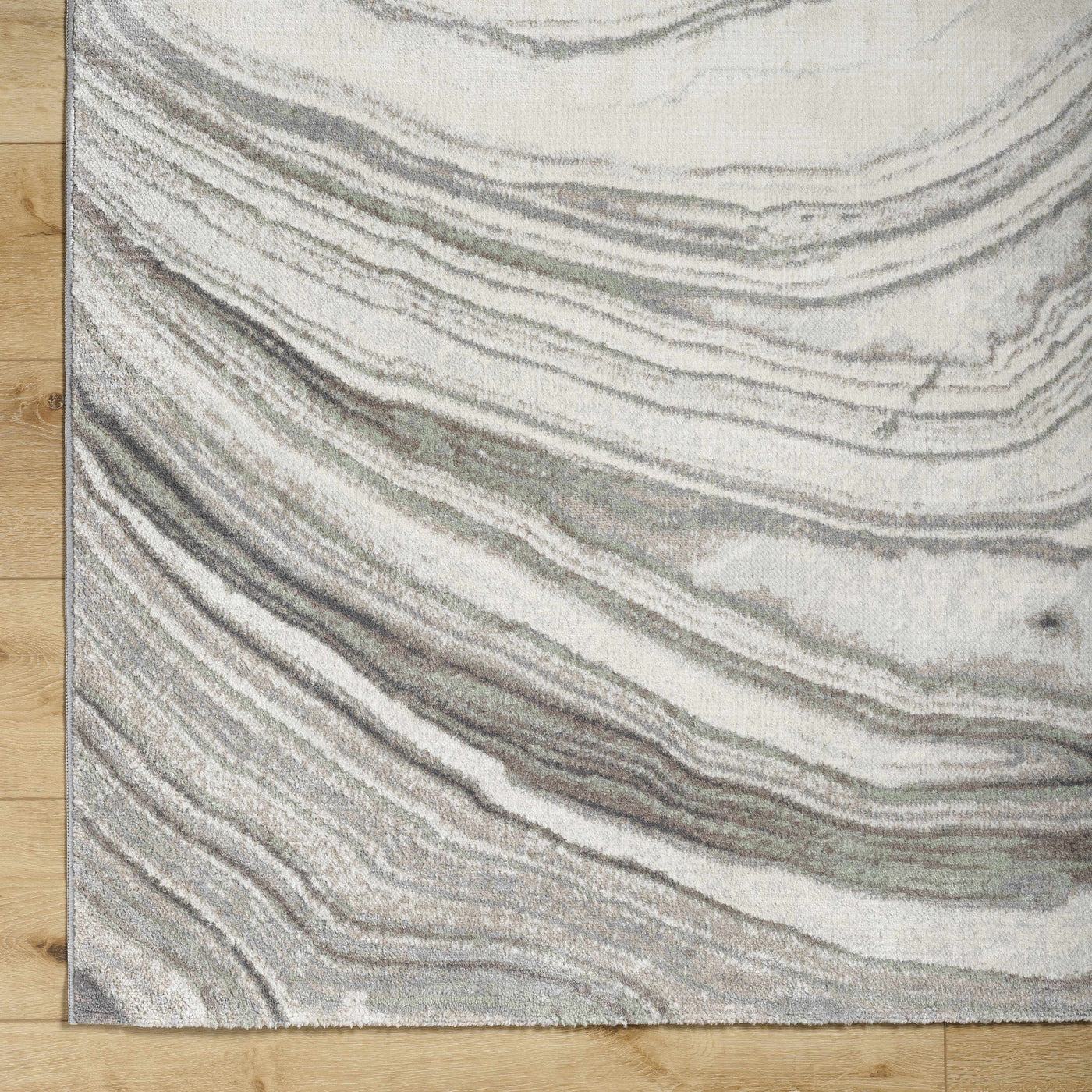 Mojil Area Rug - Clearance by Boutique Rugs