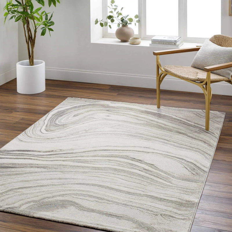 Mojil Area Rug - Clearance by Boutique Rugs