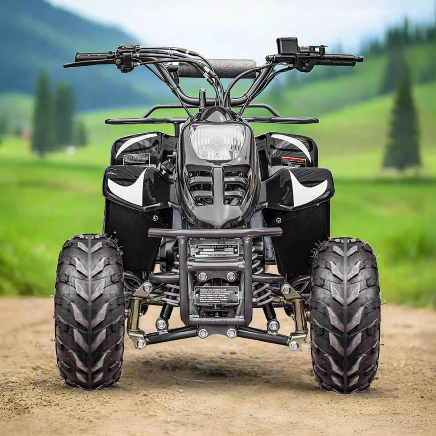 MotoTec Rex 110CC 4-Stroke Mini Kids 4 Wheeler Gas ATV Quad (SAK24197) by SAKSBY WHOLESALE