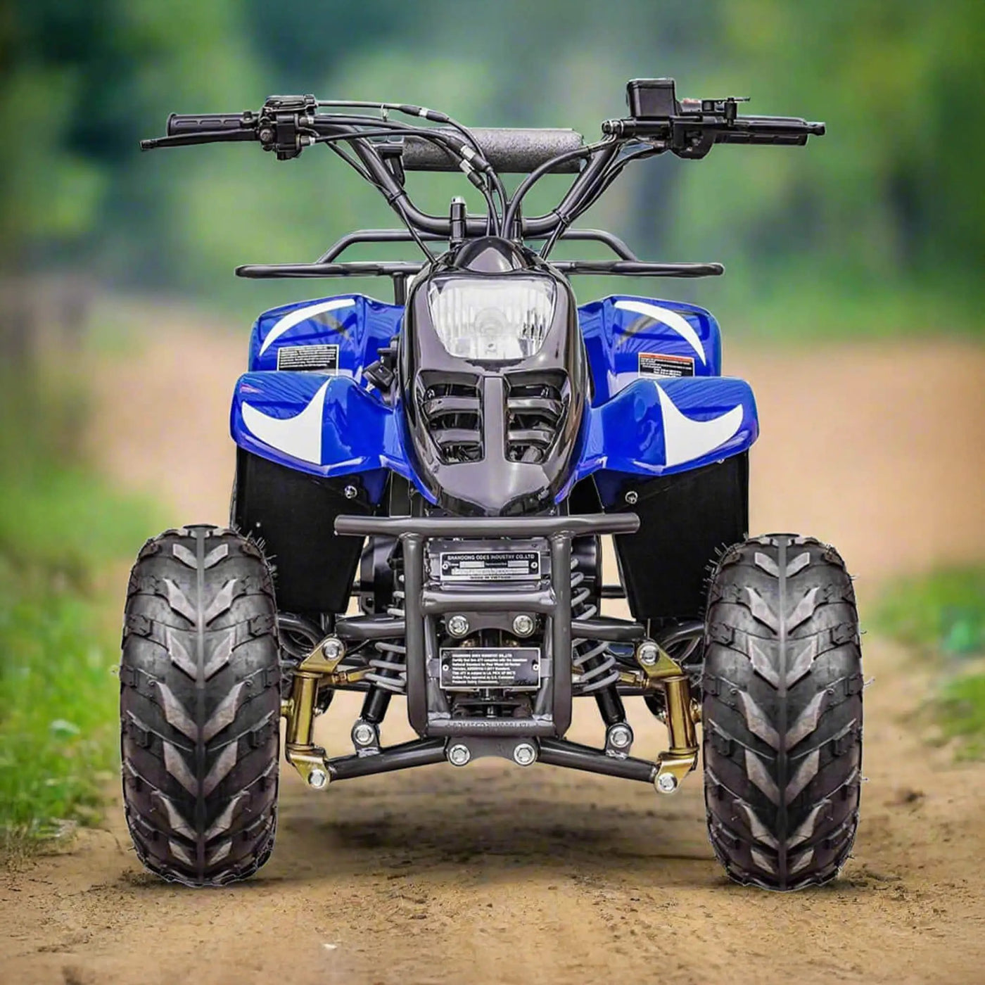 MotoTec Rex 110CC 4-Stroke Mini Kids 4 Wheeler Gas ATV Quad (SAK24197) by SAKSBY WHOLESALE