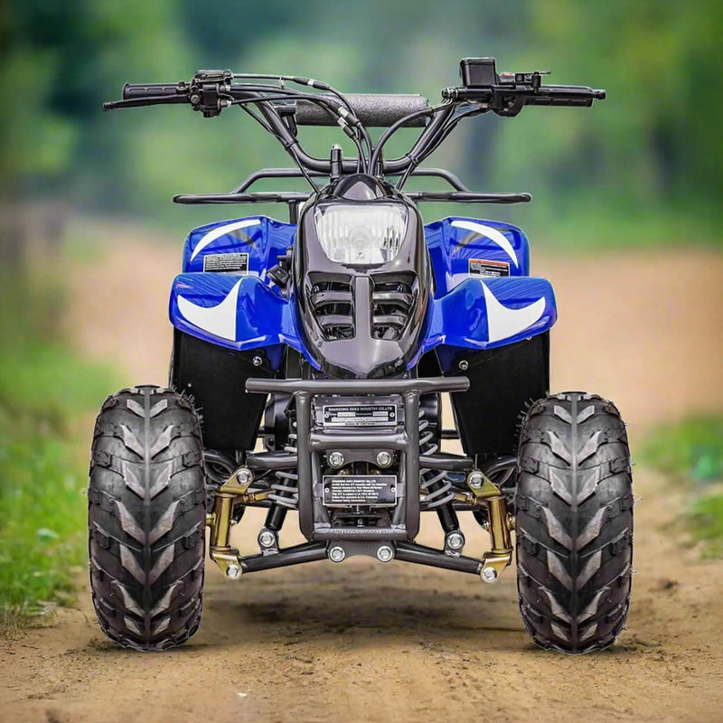 MotoTec Rex 110CC 4-Stroke Mini Kids 4 Wheeler Gas ATV Quad (SAK24197) by SAKSBY WHOLESALE
