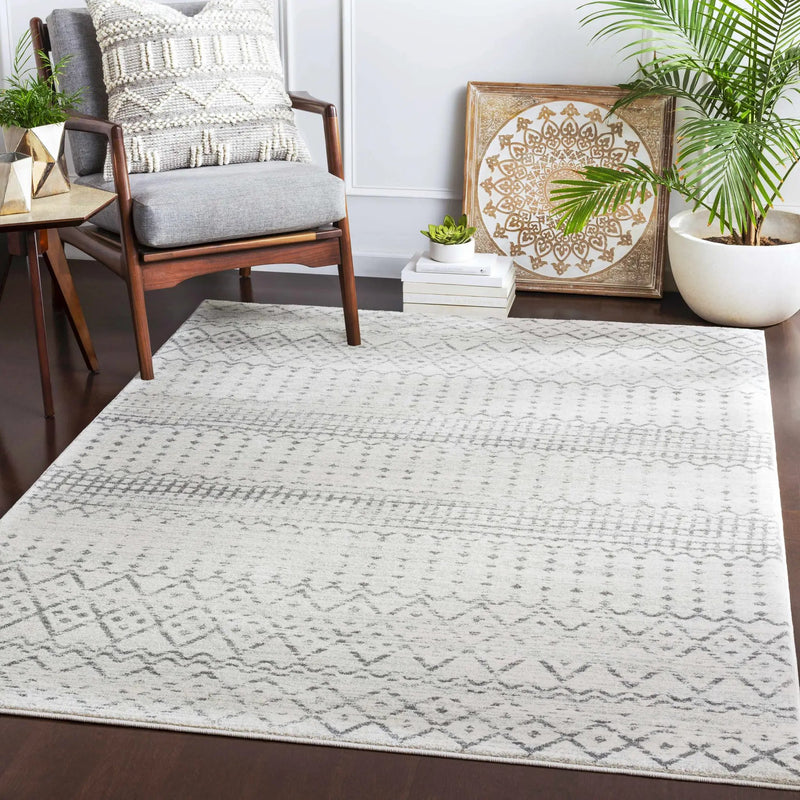 Moweaqua Area Rug - Clearance by Boutique Rugs