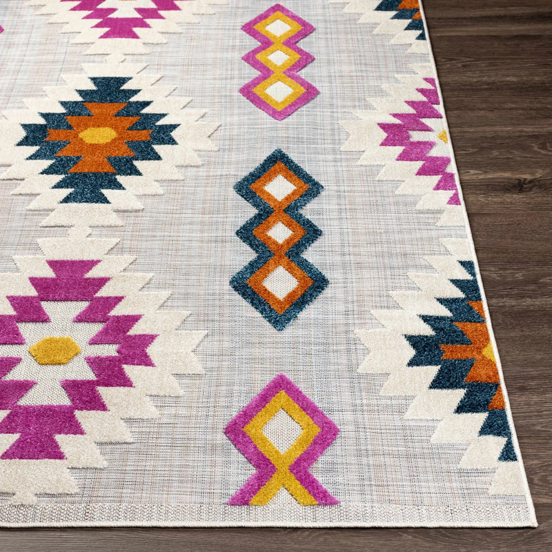 Alburg Southwestern Magenta Outdoor Carpet - Clearance by Boutique Rugs