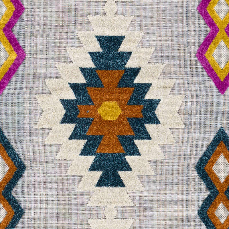 Alburg Southwestern Magenta Outdoor Carpet - Clearance by Boutique Rugs