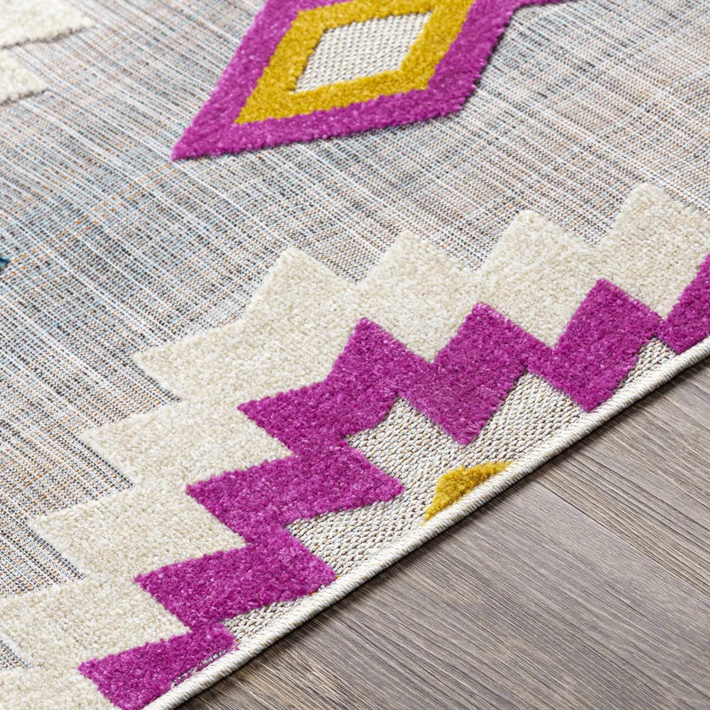 Alburg Southwestern Magenta Outdoor Carpet - Clearance by Boutique Rugs