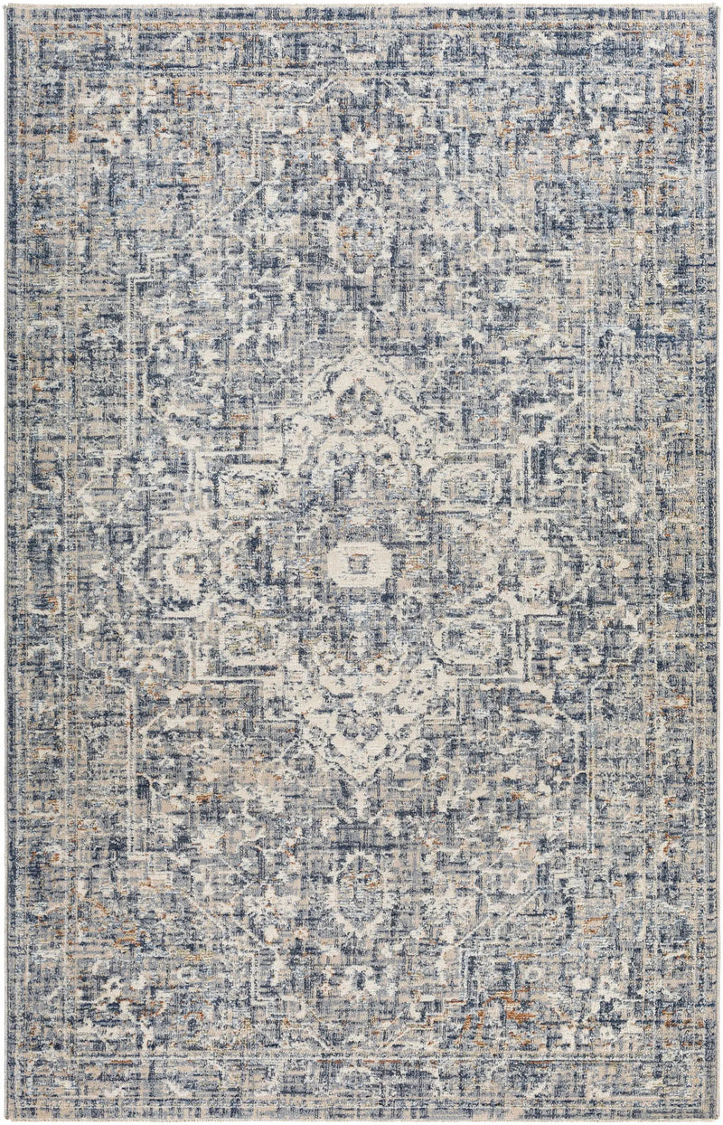 Buguey Blue & Gray Area Rug - Clearance by Boutique Rugs