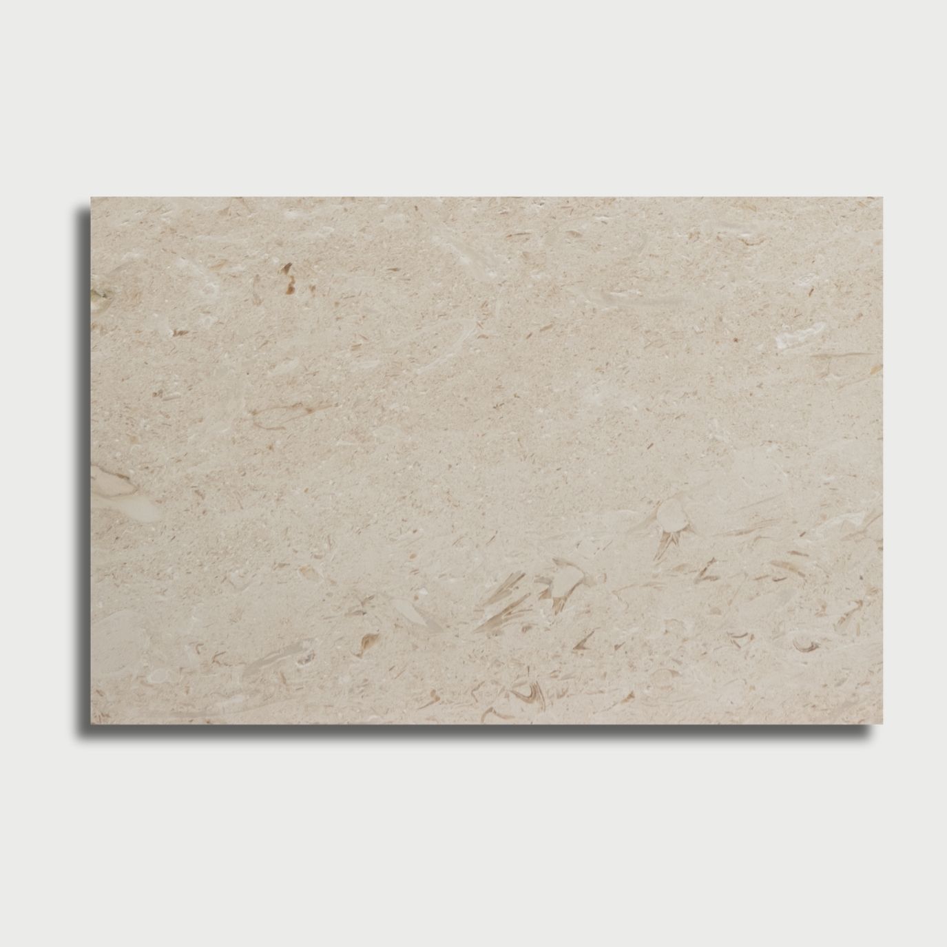 Myra Shellstone Brushed Limestone Pavers 16x24 Limestone Brushed 16x24 Pavers