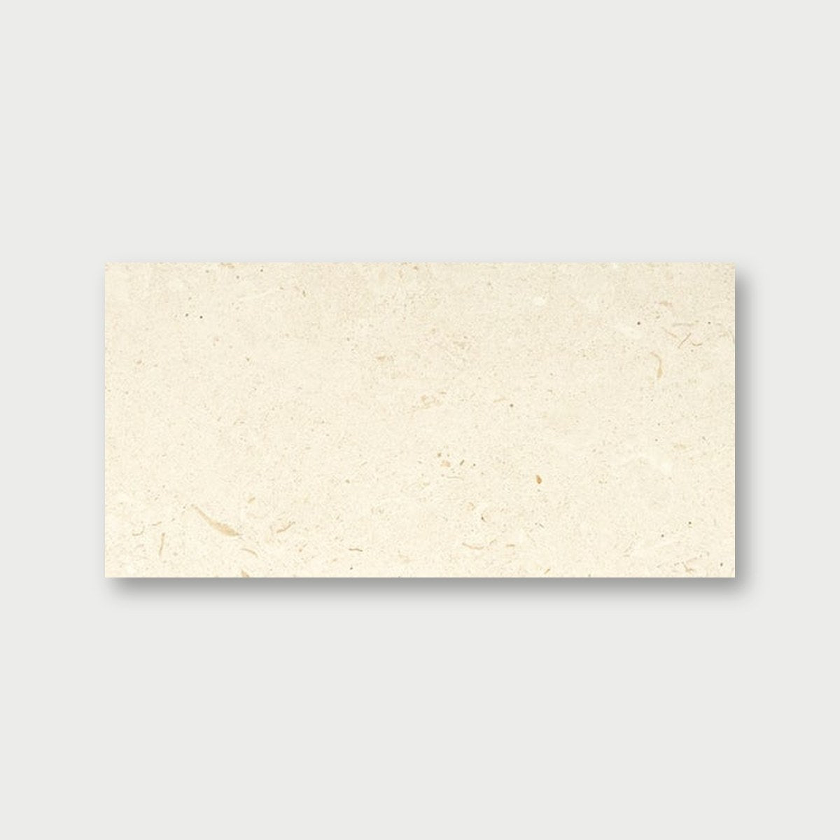 Myra Shellstone Brushed Limestone Pavers 18x36
