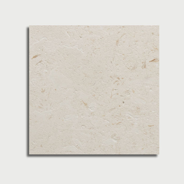 Myra Shellstone Brushed Limestone Pavers 24x24