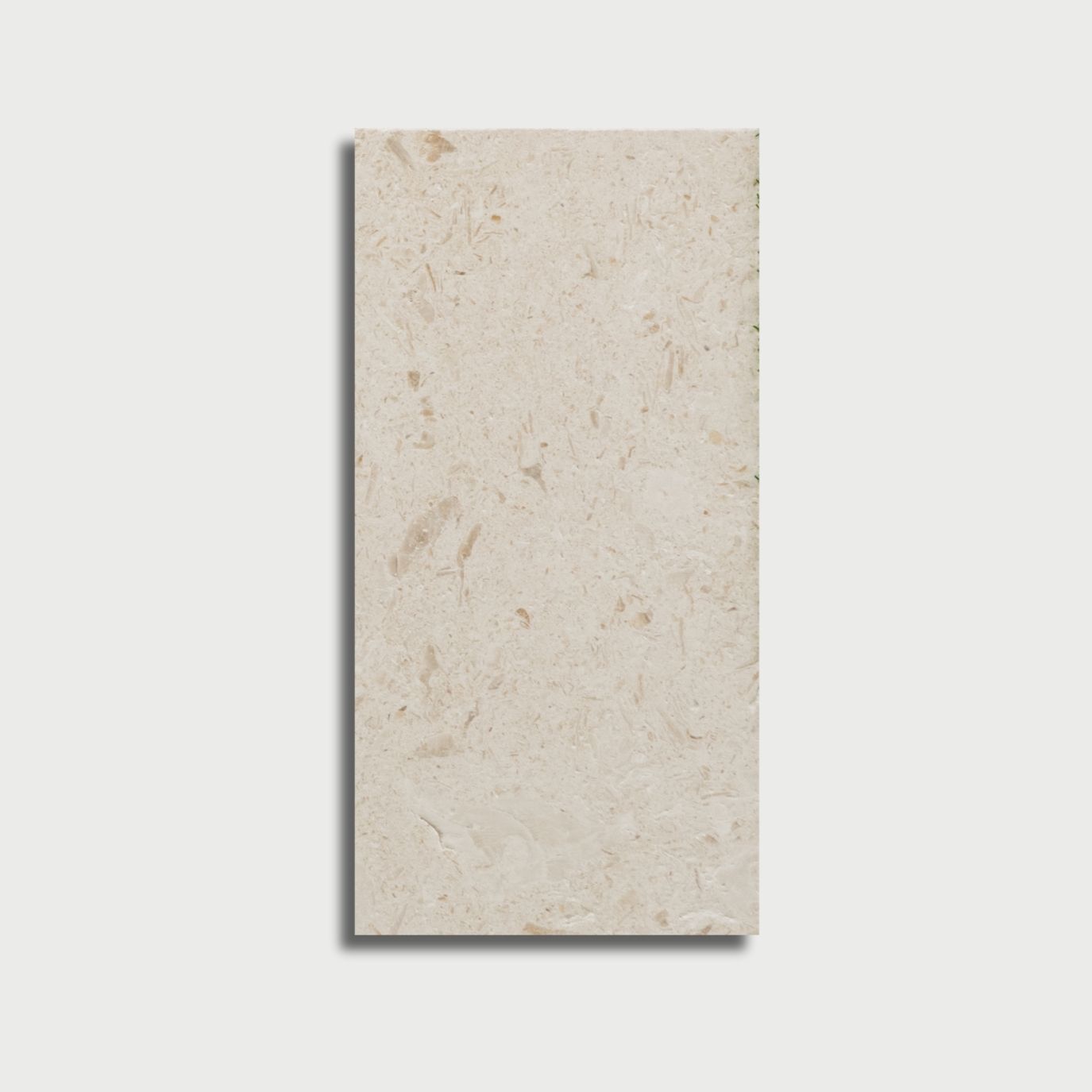 Myra Shellstone Brushed Limestone Pavers 6x12 Limestone Brushed 6x12 Pavers