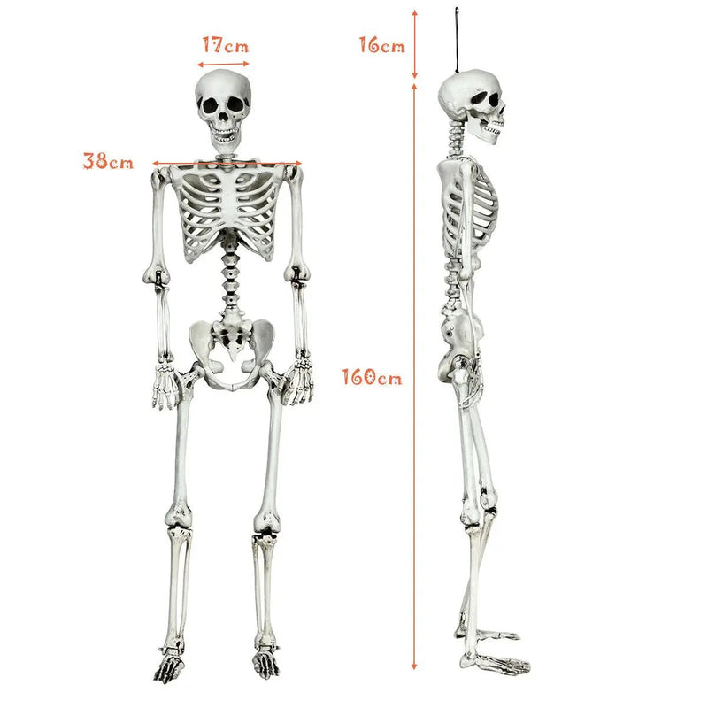 5.4 Feet Halloween Skeleton Life Size Realistic Full Body Hanging by DirectDeals