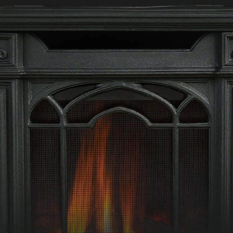 Napoleon Arlington 20 19-Inch Cast Iron Millivolt Ignition Majolica Brown Natural Gas Stove [GDS20NNSB] (SAK43798) by SAKSBY WHOLESALE