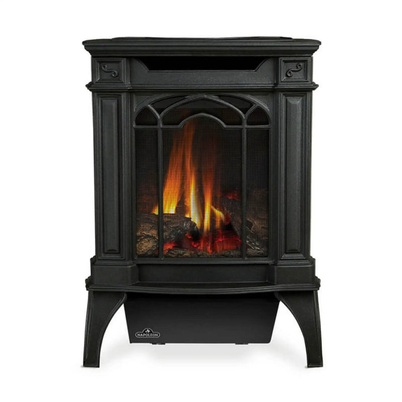 Napoleon Arlington 20 19-Inch Cast Iron Direct Vent Metallic Black Natural Gas Stove [GDS20NE] (SAK18258) by SAKSBY WHOLESALE