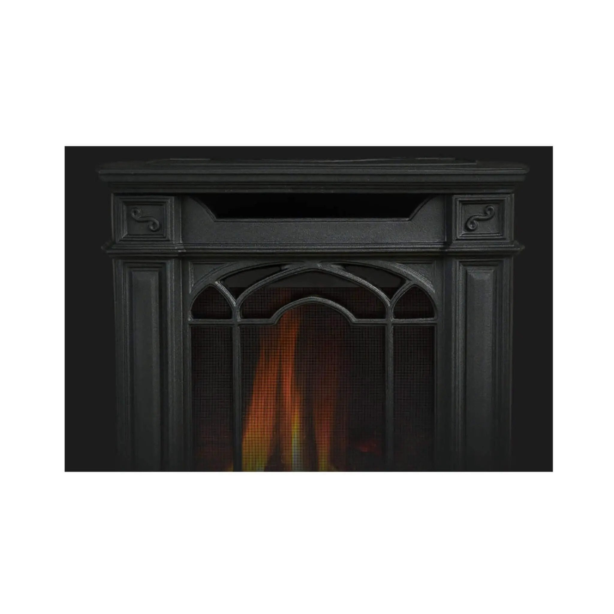 Napoleon Arlington 20 19-Inch Cast Iron Direct Vent Metallic Black Natural Gas Stove [GDS20NE] (SAK18258) by SAKSBY WHOLESALE