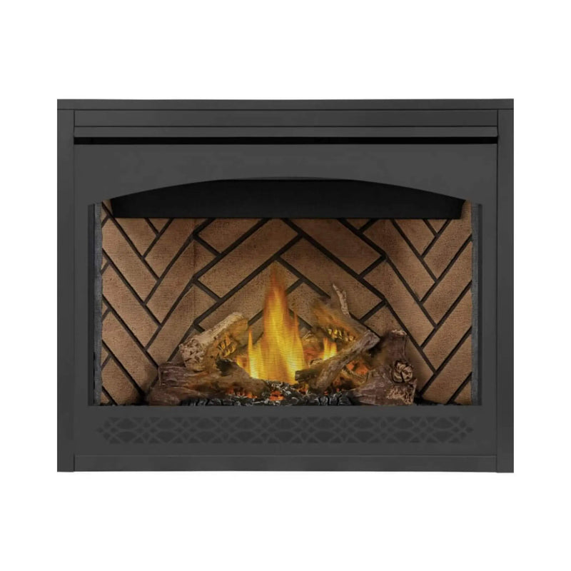Napoleon Ascent 42 Direct Vent Millivolt Ignition Propane Gas Fireplace [B42N/PTR] (SAK91456) by SAKSBY WHOLESALE