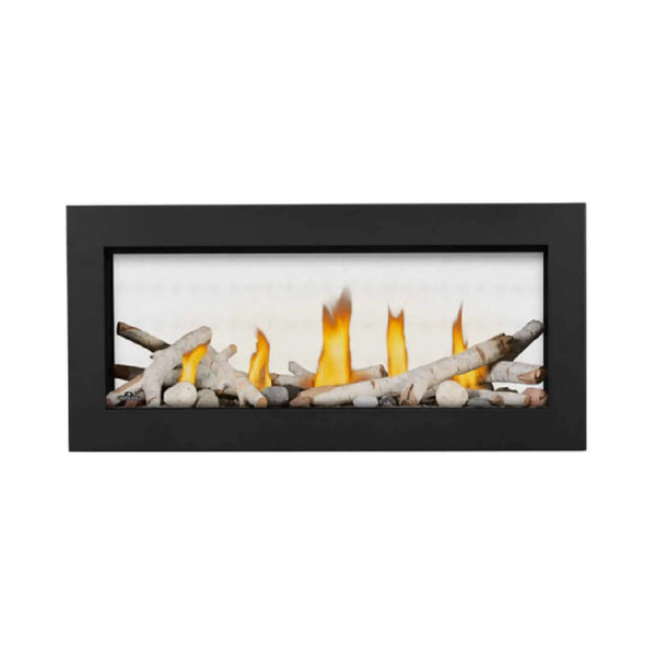 Napoleon Vector 38-Inch See-Through Direct Vent Electronic Ignition Natural Gas Fireplace With eFIRE Bluetooth App [LV38N2-1] (SAK29471)