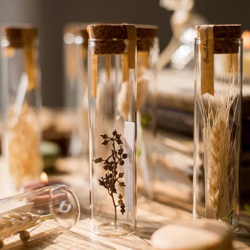 Natural Dried Flower in Glass Tube Randomly Picked Set of 5 by RusticReach