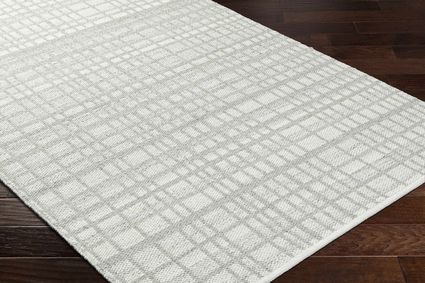 Nissa Light Gray Area Rug - Clearance by Boutique Rugs