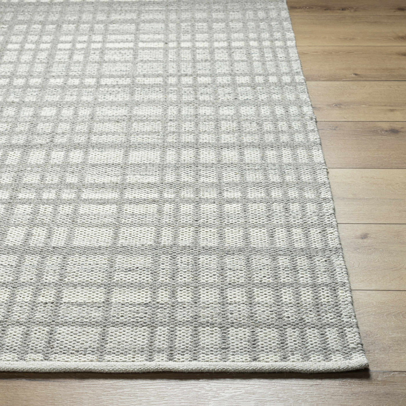 Nissa Light Gray Area Rug - Clearance by Boutique Rugs