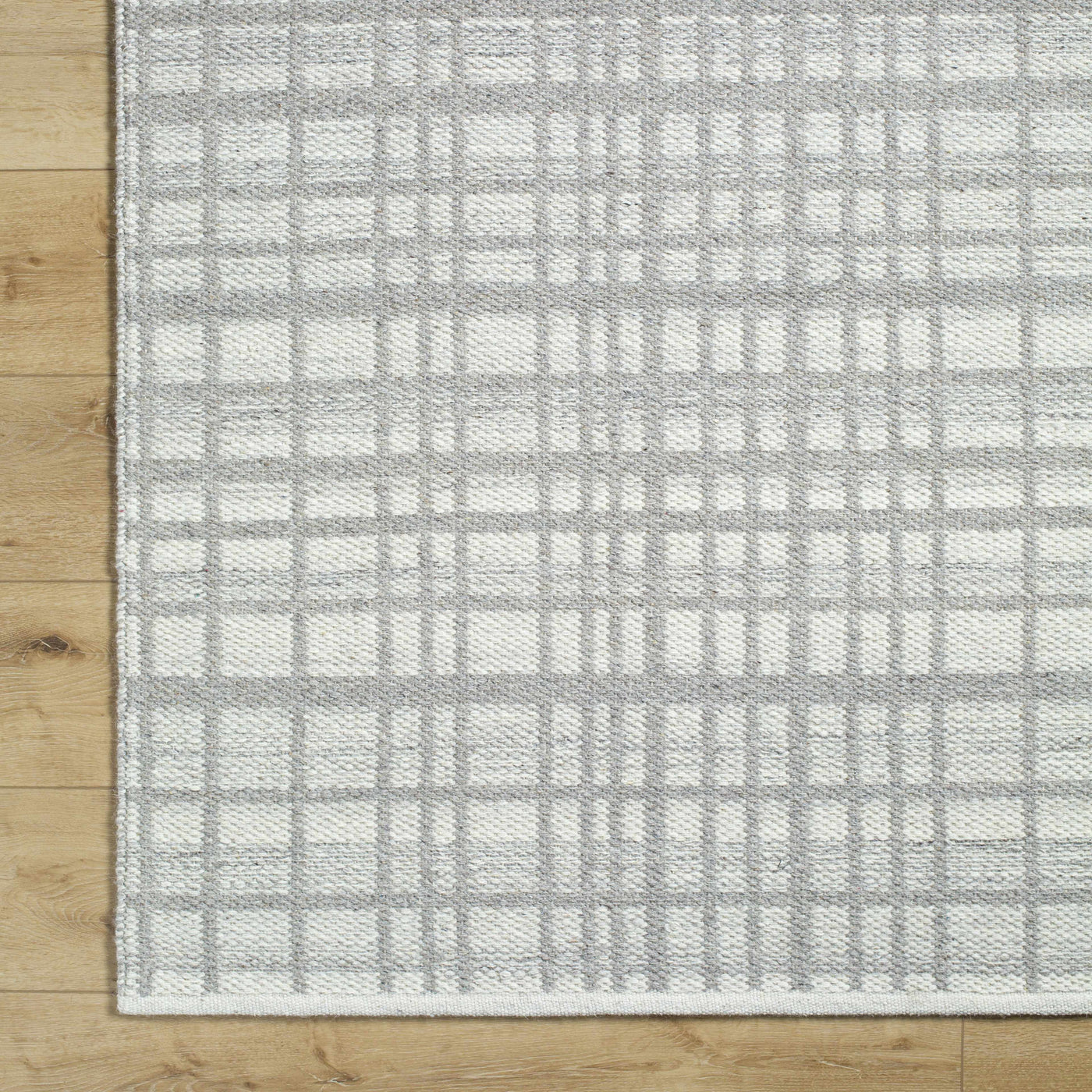 Nissa Light Gray Area Rug - Clearance by Boutique Rugs