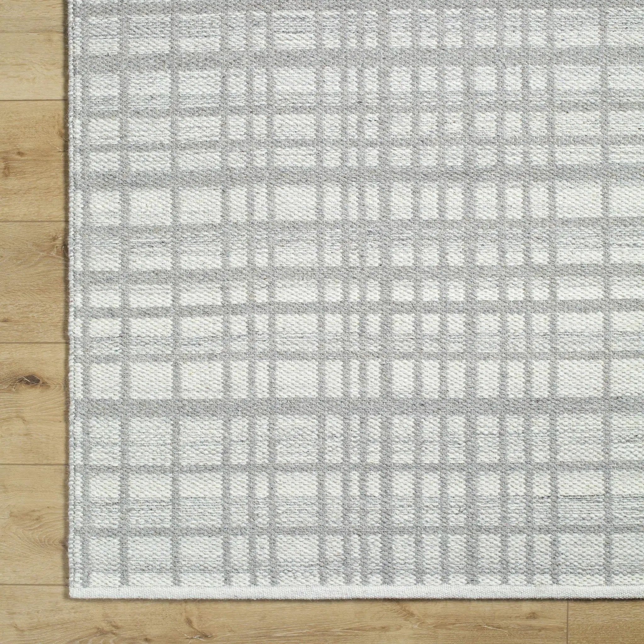 Nissa Light Gray Area Rug - Clearance by Boutique Rugs