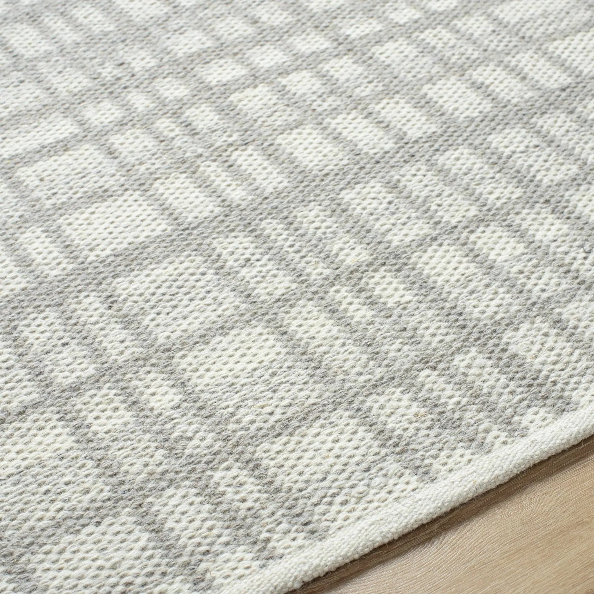 Nissa Light Gray Area Rug - Clearance by Boutique Rugs