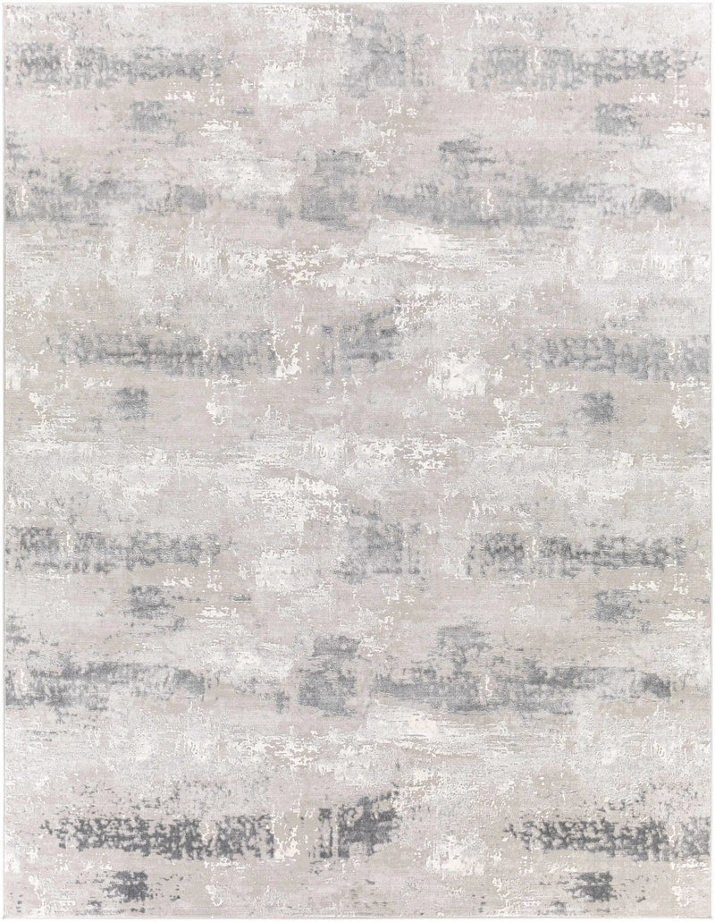 Neponsit Area Rug - Clearance by Boutique Rugs
