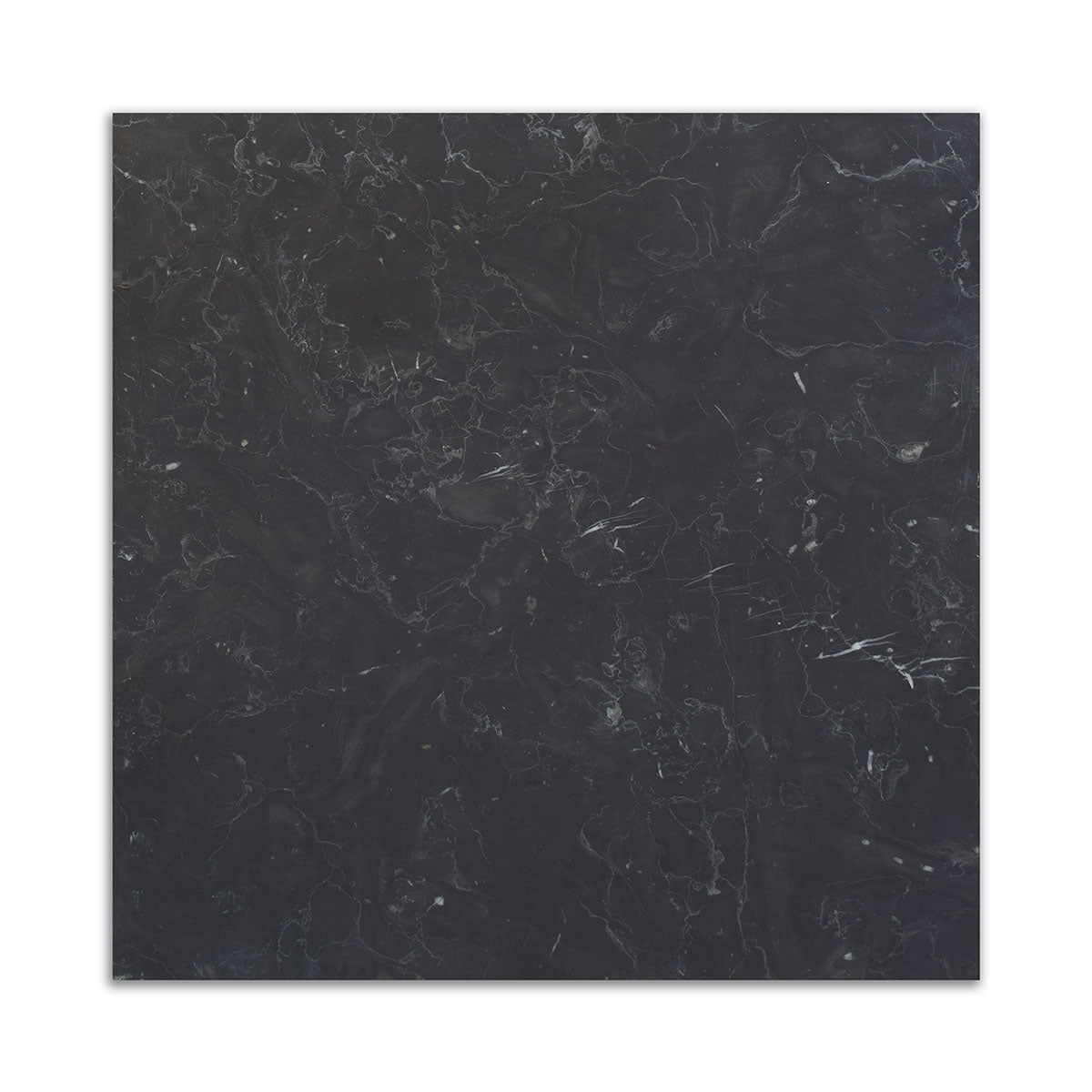 Nero Marquina Premium Honed Marble Tiles 12x12 Marble Honed 12x12 Tiles