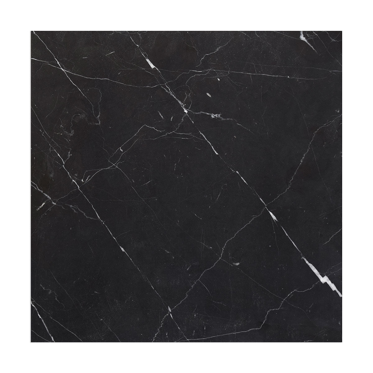 Nero Marquina Premium Honed Marble Tiles 18x18 Marble Honed 18x18 Tiles